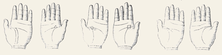 palm reading hands
